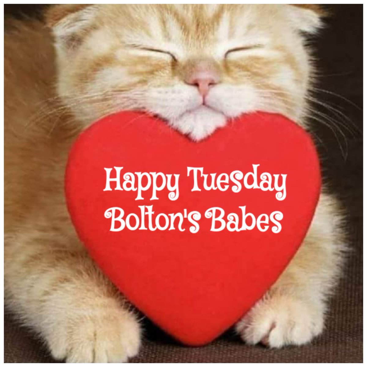 okangel27's tweet photo. @tsEmma15 @dawn_deerwester @mb1fan To all the Bolton's babes,  happy Tuesday 💕 https://t.co/42rzr4KmV8