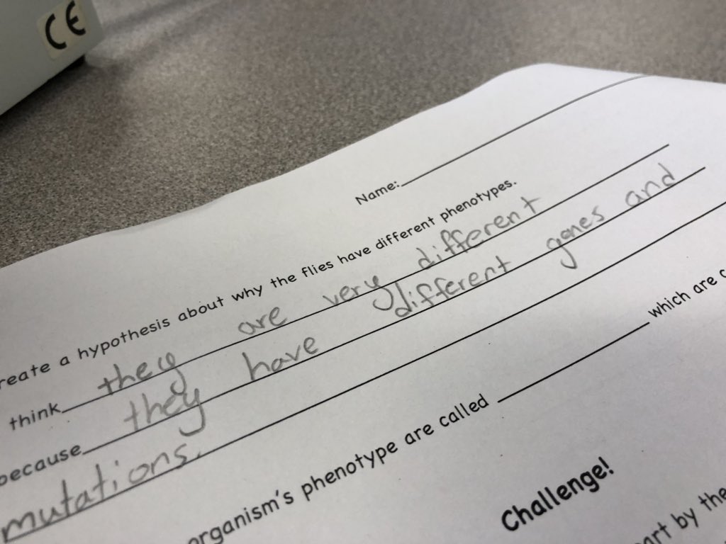 Amazing morning with <a href="/salkinstitute/">Salk Institute</a> exploring phenotypes and genetic mutations of different varieties of fruit flies!