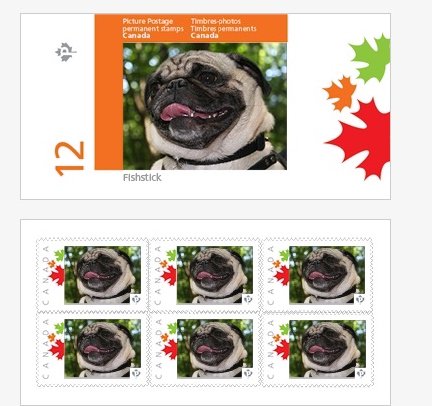 A Fishstick commemorative stamp... just like the Queen. I must be royalty. 😂😂 #StampOfApproval #RoyalPuggie #pugs #dogs
