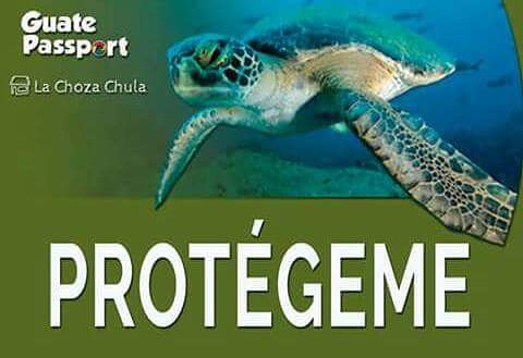 GuatePassport's tweet photo. Temporada de avistamiento de tortugas, temporada de tomar en cuenta las siguientes recomendaciones para hacer #TurismoResponsable: https://t.co/KRC9BlCk4h
#SoyEcoViajero #BeAnEcoTraveler #GPLoveGuatemala #Inguat #Turttles #PlayasLimpiasGT #INGUAT #Conap #INAB # https://t.co/fwIsoPhHBh