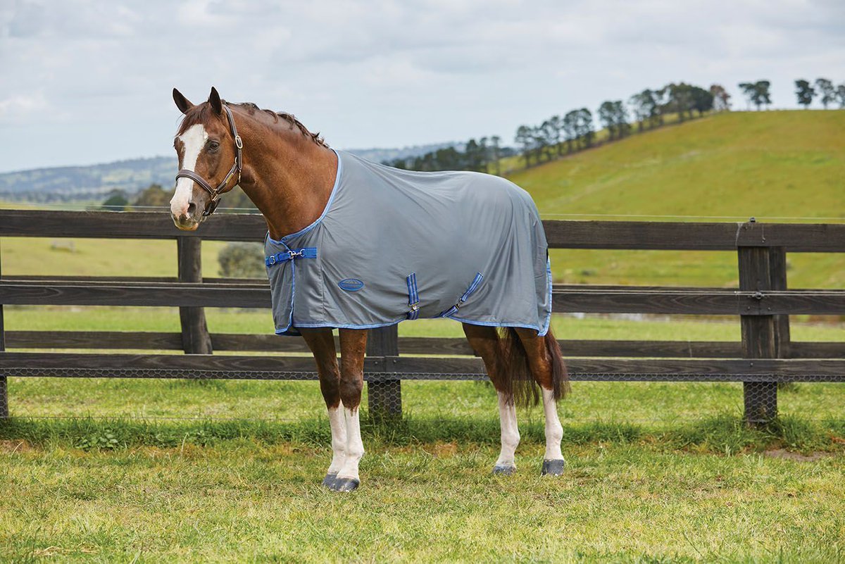 BISaddlery's tweet photo. We stock a range of turnout rugs from brands such as Weatherbeeta, Firefoot, Saxon and Loveson - https://t.co/IhCXEBRuV1 https://t.co/CQbyNkiMfy