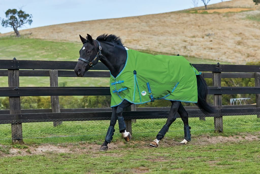 BISaddlery's tweet photo. We stock a range of turnout rugs from brands such as Weatherbeeta, Firefoot, Saxon and Loveson - https://t.co/IhCXEBRuV1 https://t.co/CQbyNkiMfy