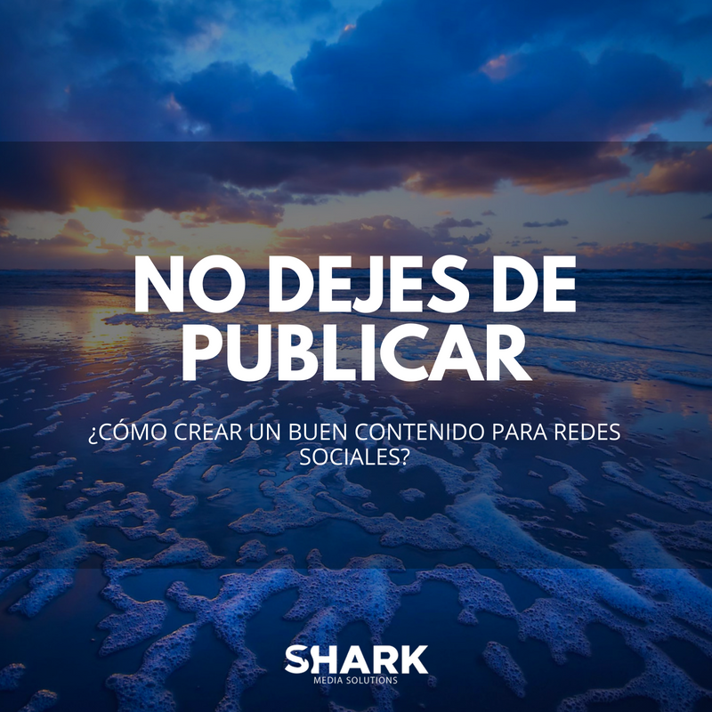 SharkMediaS tweet picture