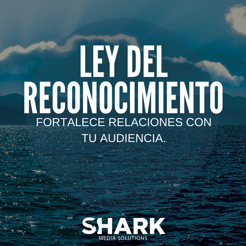 SharkMediaS tweet picture