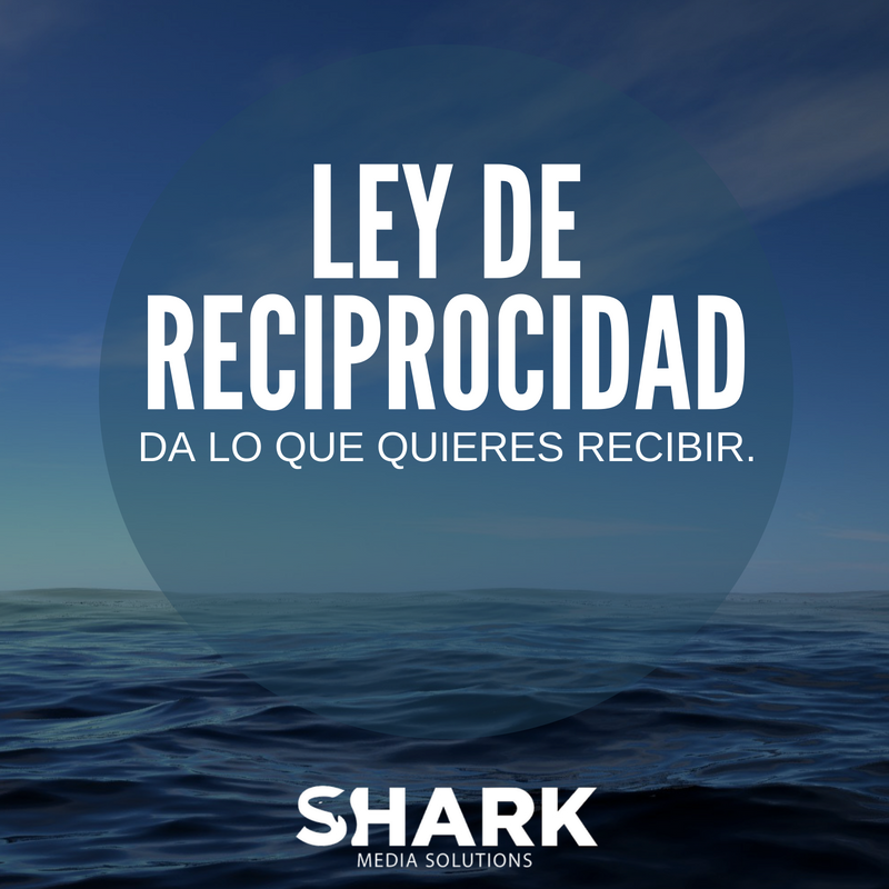 SharkMediaS tweet picture