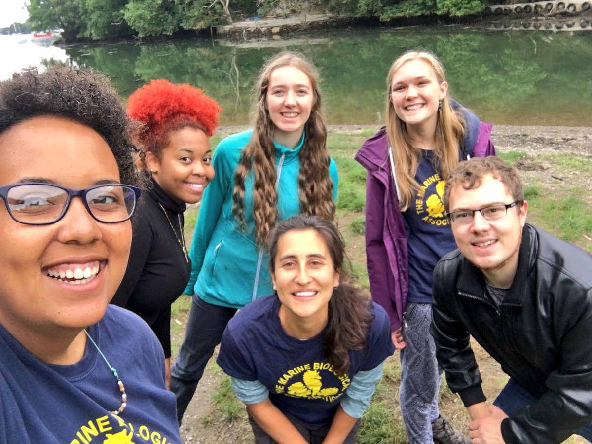 Little throwback to the last Beach Ranger session of 2018! With music, science and a 6-strong team, it was a great one!  Thank you for an amazing summer! #BeachRangers #summer 🌊🦀 <a href="/thembauk/">MBA - Marine Biological Association</a>