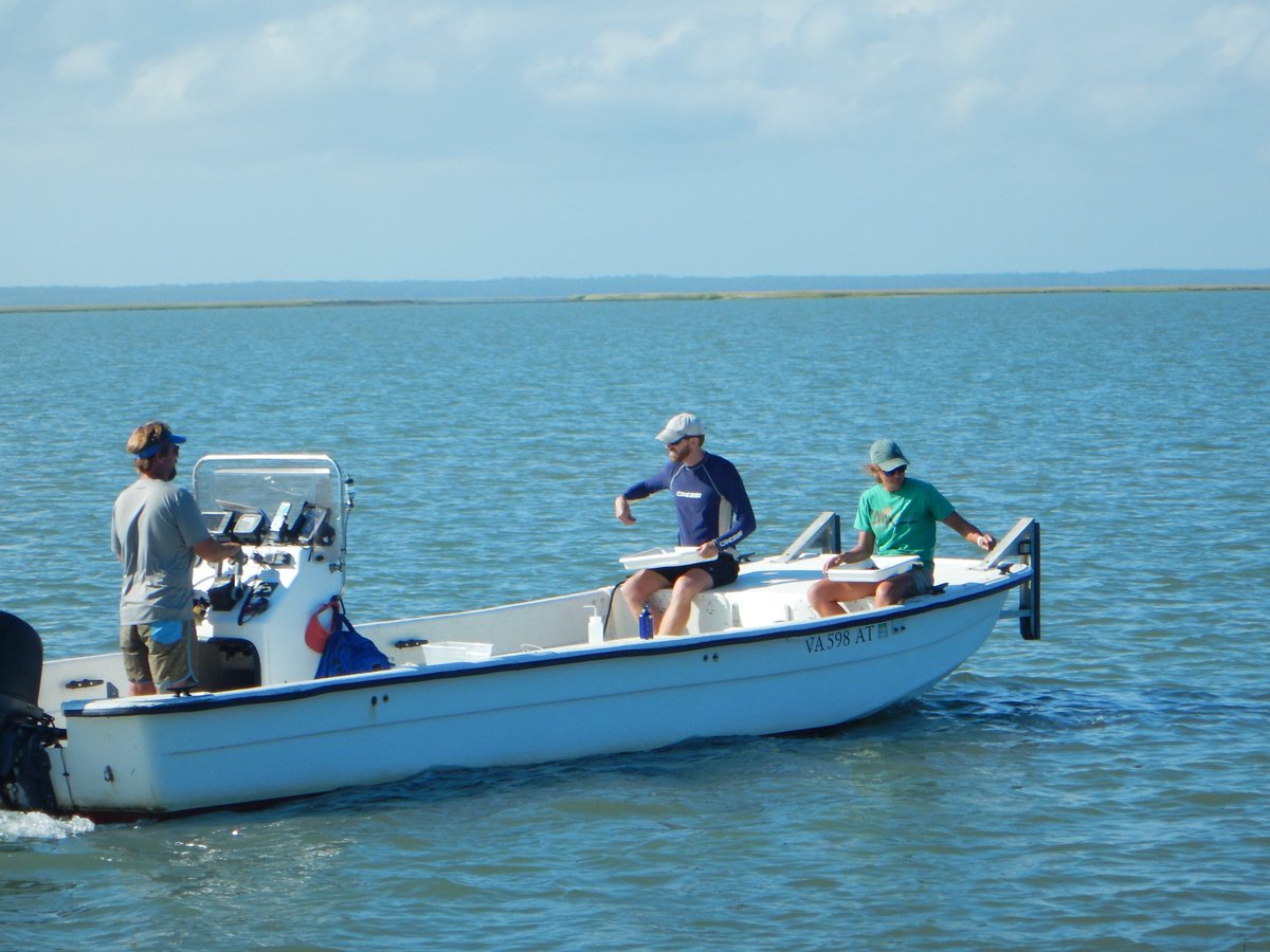 LabSav's tweet image. Planted a little over 4 million eelgrass seeds in Cobb Bay, Virginia yesterday. Now we&apos;re just hoping everyone stays safe with the approach of the hurricane @VIMS_News