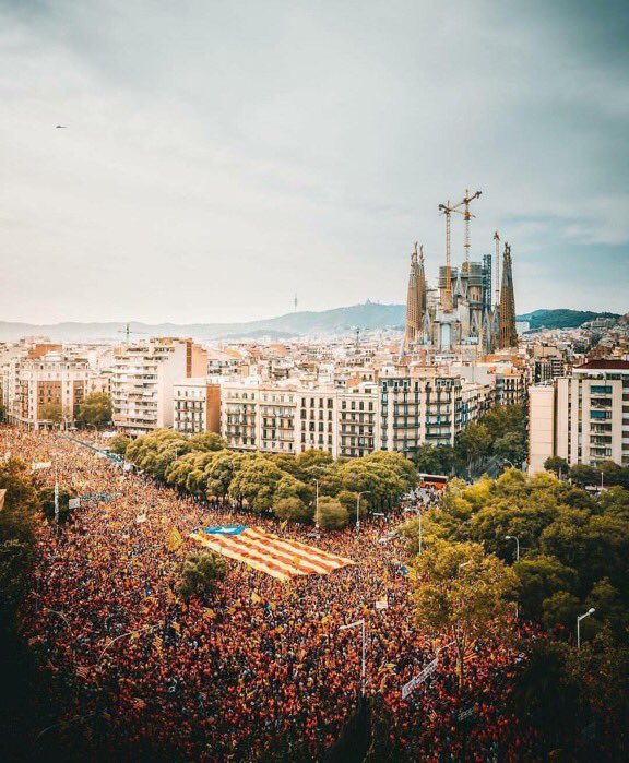 James Gulus tweet media