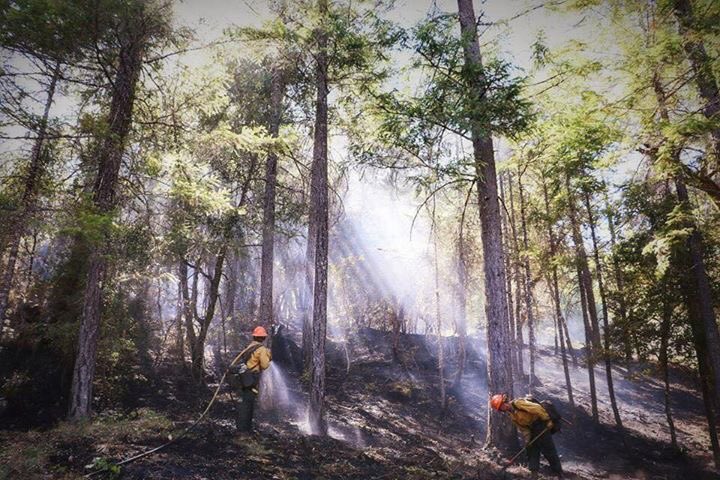 ShastaTrinityNF's tweet image. Hyampom, Calif. - September 11, 2018 The #KerlinFire is 1,748 acres and is 60% contained. 
inciweb.nwcg.gov/incident/6189/