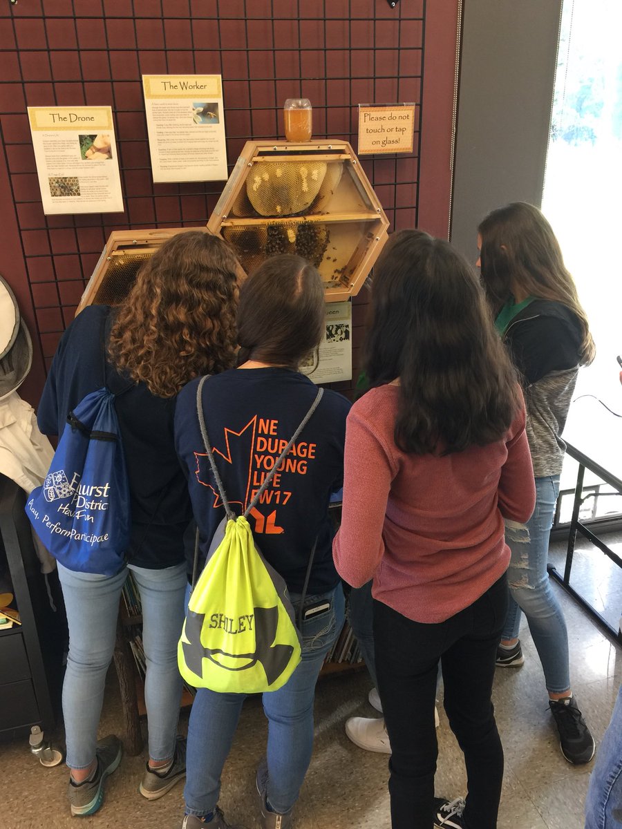 DanaParr tweet media