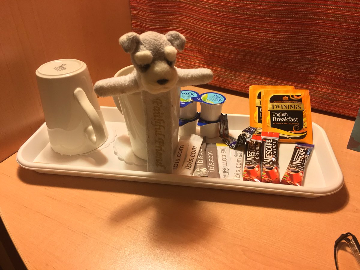 SchnauzMini's tweet photo. Call this a mini bar!  Mini mini is not amused. https://t.co/DdVspJ0hA2