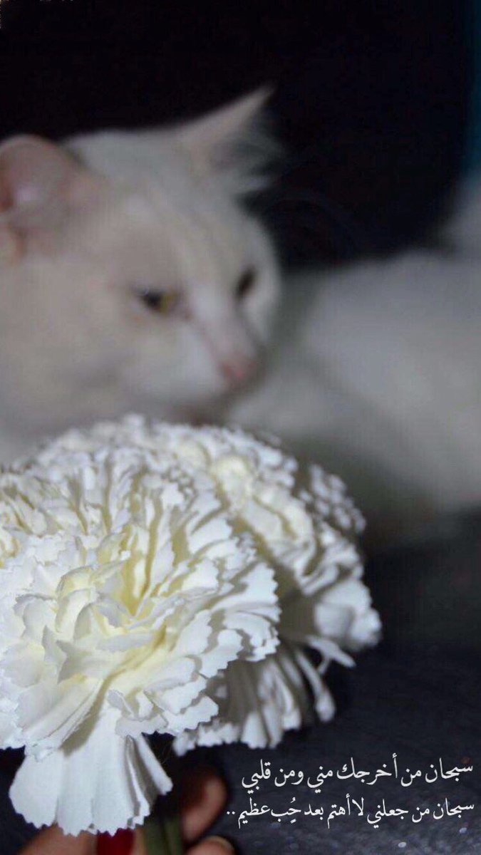 اآحـﺳ͠ﺎس ﭑﻧثى ..♪ (@556_ola) on Twitter photo 