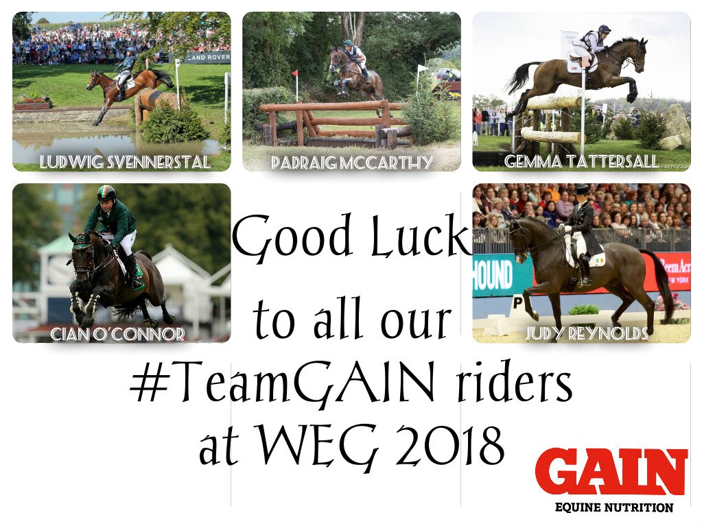 GAIN Equine Nutrition (@gainequine) on Twitter photo Wishing Good Luck to the #TeamGAIN riders <a href="/JudyReynoldsIRL/">judy reynolds</a>๐ฎ๐ช <a href="/IrishEventer/">Padraig McCarthy</a>๐ฎ๐ช <a href="/Cian_O_Connor/">Cian O'Connor</a>๐ฎ๐ช <a href="/GTeventing/">Gemma Tattersall</a>๐ฌ๐ง & <a href="/svennerstal/">Ludwig Svennerstal</a>๐ธ๐ช at #WEG2018 in <a href="/tryon2018/">Tryon 2018</a>๐บ๐ธ!๐ค๐๐#GAINTheAdvantage Wishing Good Luck to the #TeamGAIN riders <a href="/JudyReynoldsIRL/">judy reynolds</a>๐ฎ๐ช <a href="/IrishEventer/">Padraig McCarthy</a>๐ฎ๐ช <a href="/Cian_O_Connor/">Cian O'Connor</a>๐ฎ๐ช <a href="/GTeventing/">Gemma Tattersall</a>๐ฌ๐ง & <a href="/svennerstal/">Ludwig Svennerstal</a>๐ธ๐ช at #WEG2018 in <a href="/tryon2018/">Tryon 2018</a>๐บ๐ธ!๐ค๐๐#GAINTheAdvantage