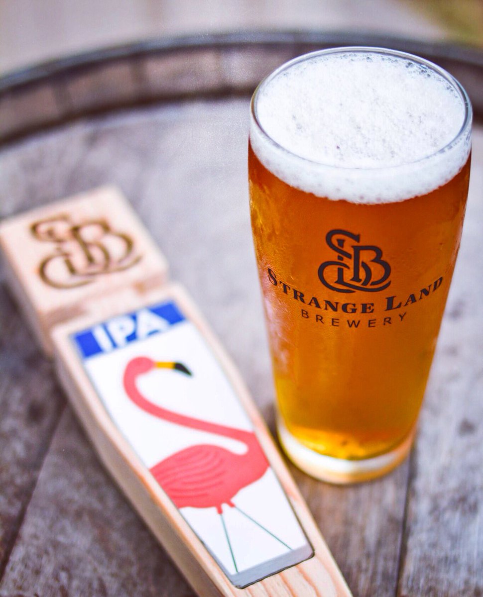 Strange Land Brewery (@strangelandbrew) on Twitter photo 