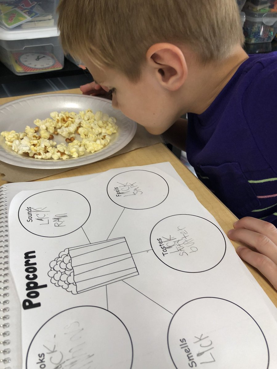 gholbrook6037's tweet photo. A delicious way to learn about our five senses in first grade! #jtsdnixa #STEAMazing #sensemaking https://t.co/oxUOmqXEki