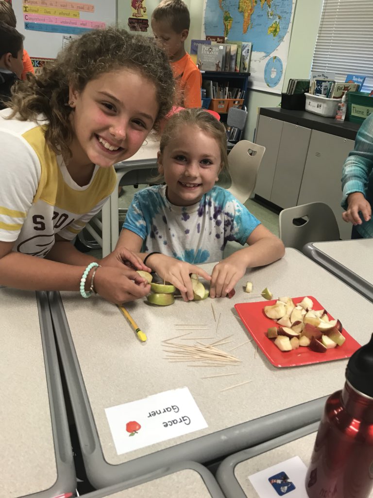 cyager5's tweet image. Stem Activity with Apple structures! #applescience @CastletonES @SchodackCSD