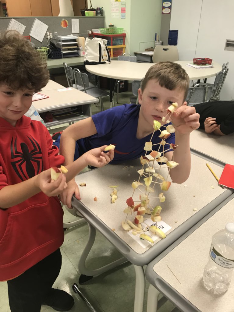cyager5's tweet image. Stem Activity with Apple structures! #applescience @CastletonES @SchodackCSD