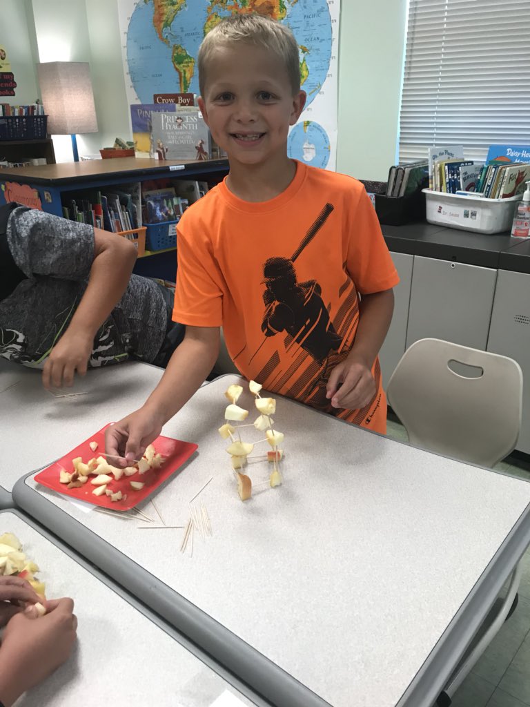 cyager5's tweet image. Stem Activity with Apple structures! #applescience @CastletonES @SchodackCSD
