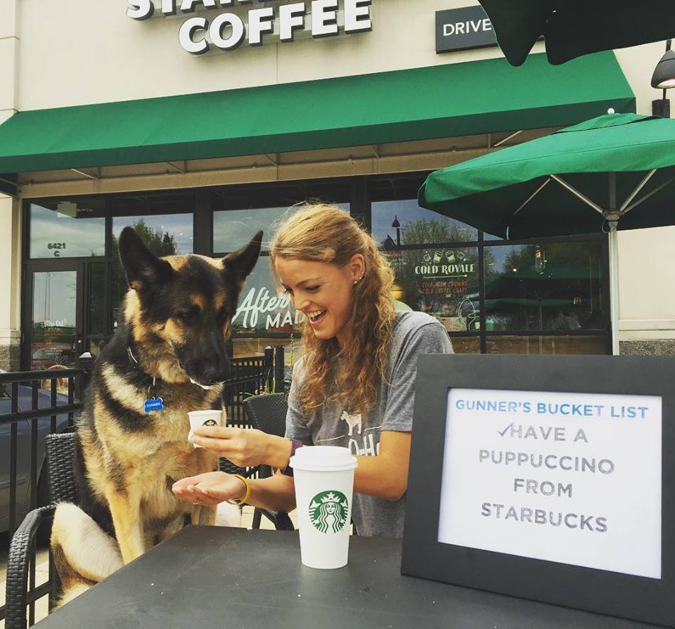 lorascollege's tweet photo. Alumna @CaseyConry's German Shepherd Gunner was recently diagnosed with terminal cancer so she created a bucket list for him. One of the items: guest RA at #LorasCollege Sept. 29. See more of his adventures: https://t.co/ZmMWJDE8Mq. #Class2011 #gunnersbucketlist https://t.co/RTdIGoPTuP