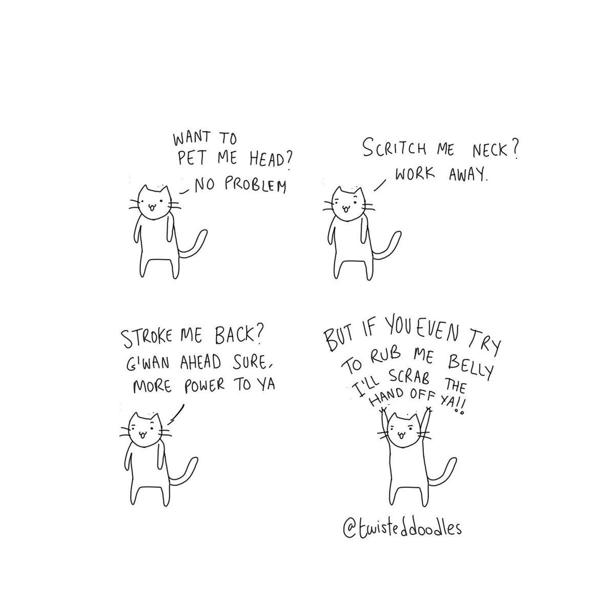 TwistedDoodles on Twitter: "The cat with an Irish accent. "