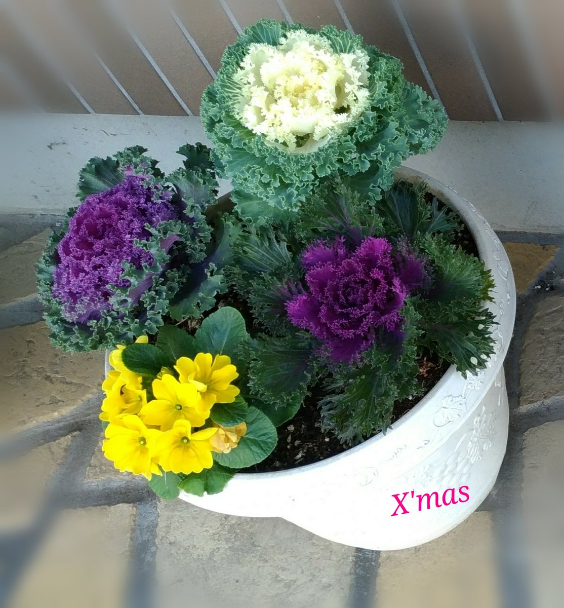 mymerokittylily's tweet photo. @Newsasamoto 
Good Morning https://t.co/lPNan5Rnl9