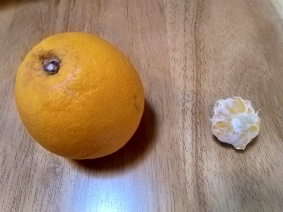 Blackpool Astronomy On Twitter Here Are 3 Of My Tomatoes