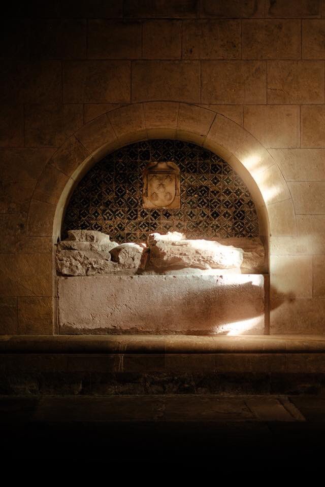 Resurrection40's tweet image. Help this project by #investing, #donating, and #sharing 
Jesus is not dead. The world watched him die a gruesome death, then the world watched him walk the Earth as though death had no hold on him. Jesus walked the Earth for 40 days after he died and resurrected. #investments