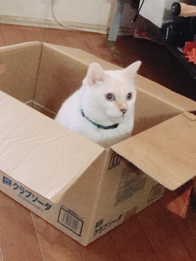 夜驚症 Twitter Search