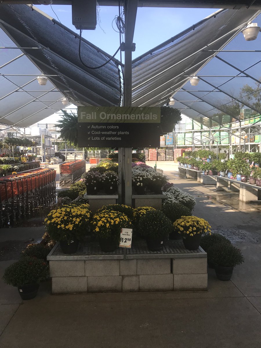 DDGrahamFlowers's tweet photo. More Fall Favorites at the Home Depot in Milwaukee WI! https://t.co/utchF7S0X3