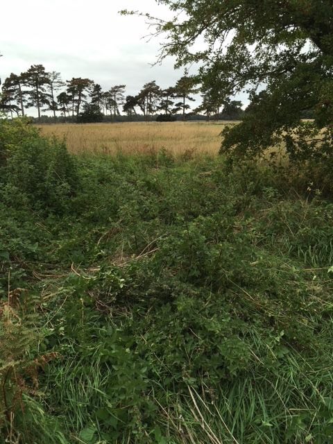 More recceing completed by Brian and Bob today. 

It’ll look very different in the December dark....