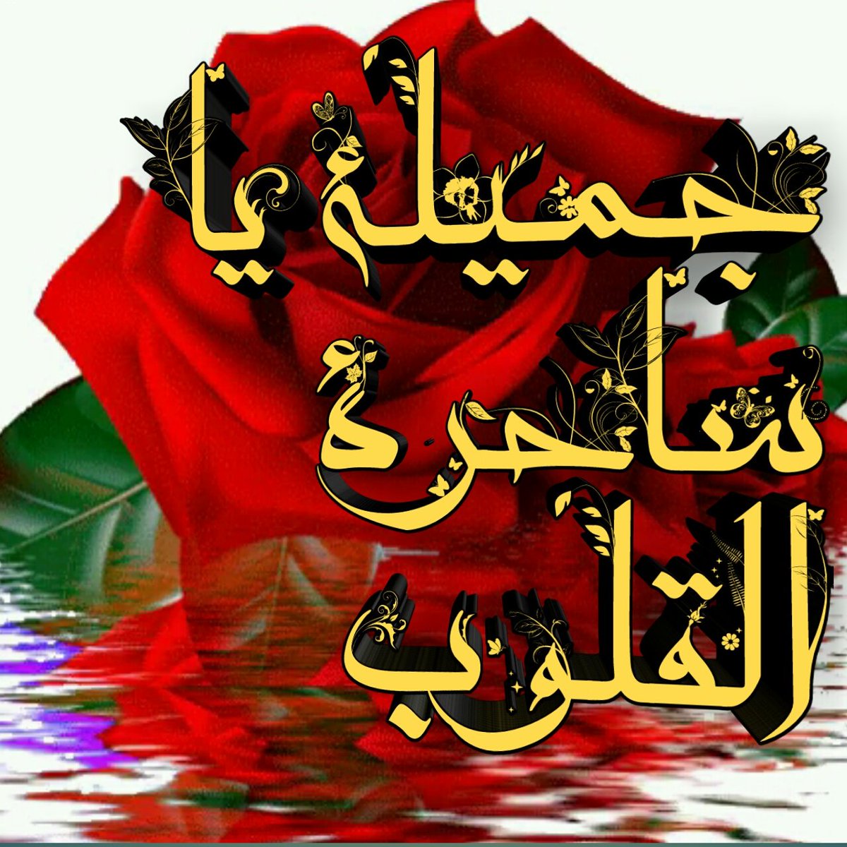 ImageSdable's tweet photo. @aaa12345aaass @Ietter1 #انتي جميلة ياساحرة القلوب https://t.co/NfeI8T9kiY