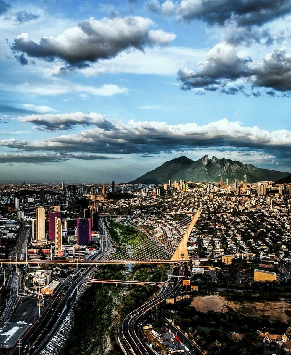 tuca ferretti tweet media