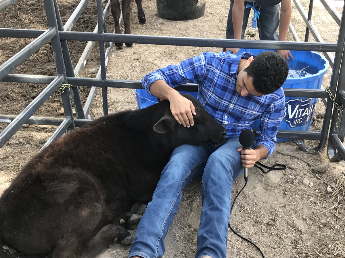 pintopress's tweet image. I joined more than 800 Laramie County 4th graders in a day of learning about the Agriculture Business!! Tune in to #K2TV @6 to formally meet buttercup... and of course learn about this $2 billion WYO business! #wyomingnews #abcnews #Farmers #news #ReporterDiary
