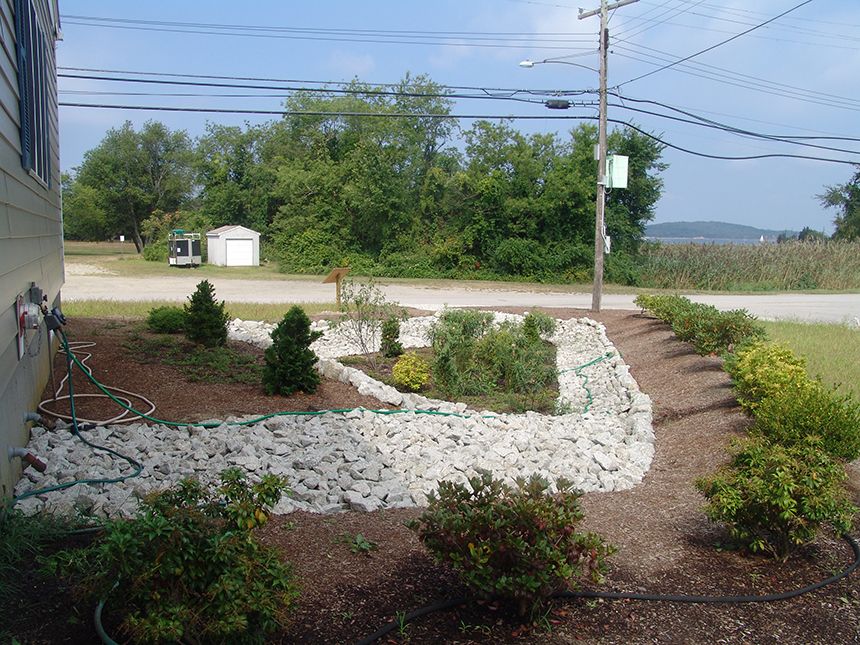 ecoRInews's tweet photo. “An eighth-of-an-inch lawn is a thing out of the 1960s. It’s now time to grow grass longer and plant flowers. Manicured lawns are not the best choice.” https://t.co/HnIbra59yW https://t.co/TzFKiYOm13