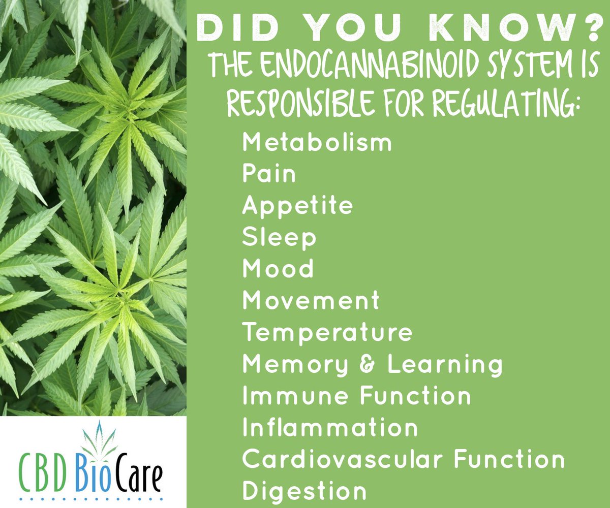 UVCWellness's tweet image. UVC WELLNESS CENTER
OPEN 8AM-10PM DAILY
#DTLA
**COMING FRIDAY
         09/14/18
STIIIZY VAPE BOGO!!**

**THE #1 VAPE CART ON 
THE MARKET RIGHT NOW
WILL BE IN THE HOUSE
FROM 4PM-8PM.  FRIED
DAYS ARE LIT @ UVC &amp;amp;
THIS FRIED DAY WILL BE
OFF THE HOOK**

221 W. 4TH ST.
L.A.  90013