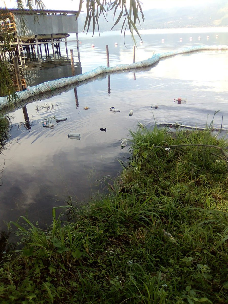 ACoatepeque's tweet photo. El auxilio de las 3 Eco-Bordas ha evitado que un promedio de 90 Lbs de basura ingrese al Lago de Coatepeque después de las tormentas
#fundacioncoatepque #todobluesv #conservacionlagocoatepeque #accioncoatepeque #Limpiaton #bioborda #piensaazulactuaverde #biobordaslagodecoatepeque https://t.co/4p9vErl3aO