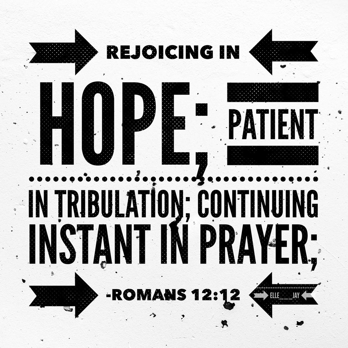 Lisa Jones tweet media