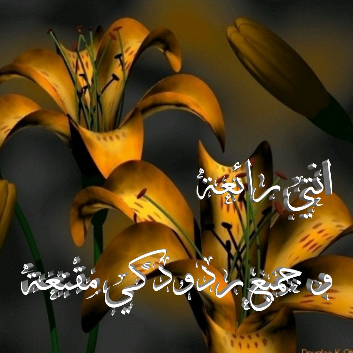 ImageSdable's tweet photo. @aaa12345aaass @Ietter1 #انتي رائعة https://t.co/WXFMyKi3ju