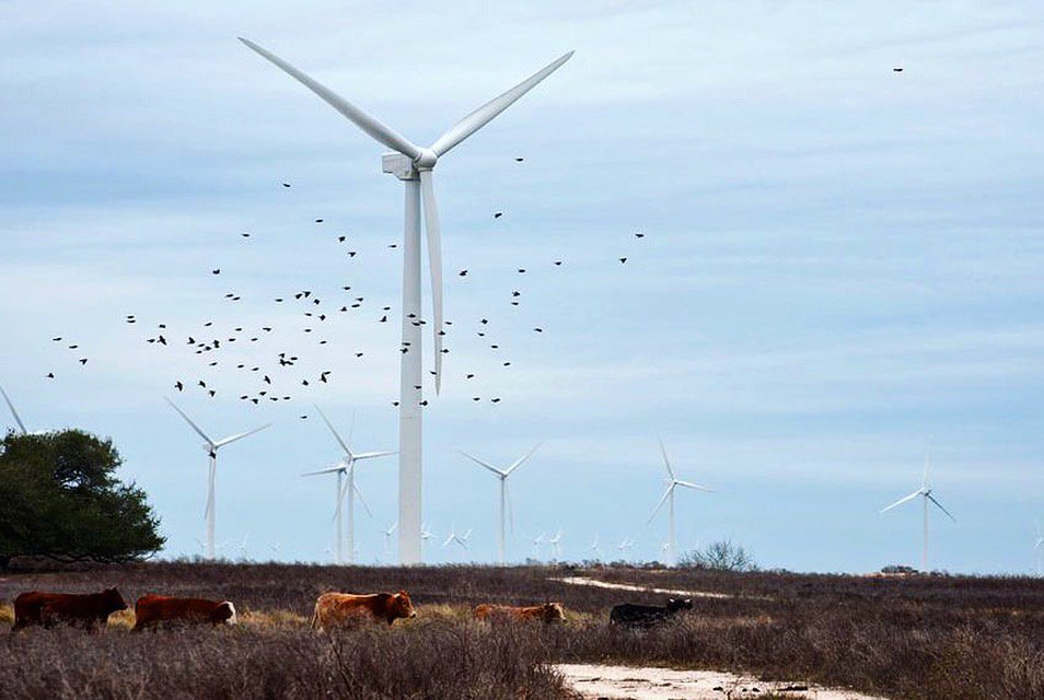gemini_energy's tweet photo. #Texas ranks 1st in the U.S. in wind power capacity, generated over 23,200 MW in 2017. https://t.co/KegEKVUFHo
#numberone #windenergy #iheartwind #windworks #renewableenergy #windturbine #windlife #windfarm #cleanenergy #greenenergy #geminienergyservices #windtech @tetratech https://t.co/jYhrWcVbWY