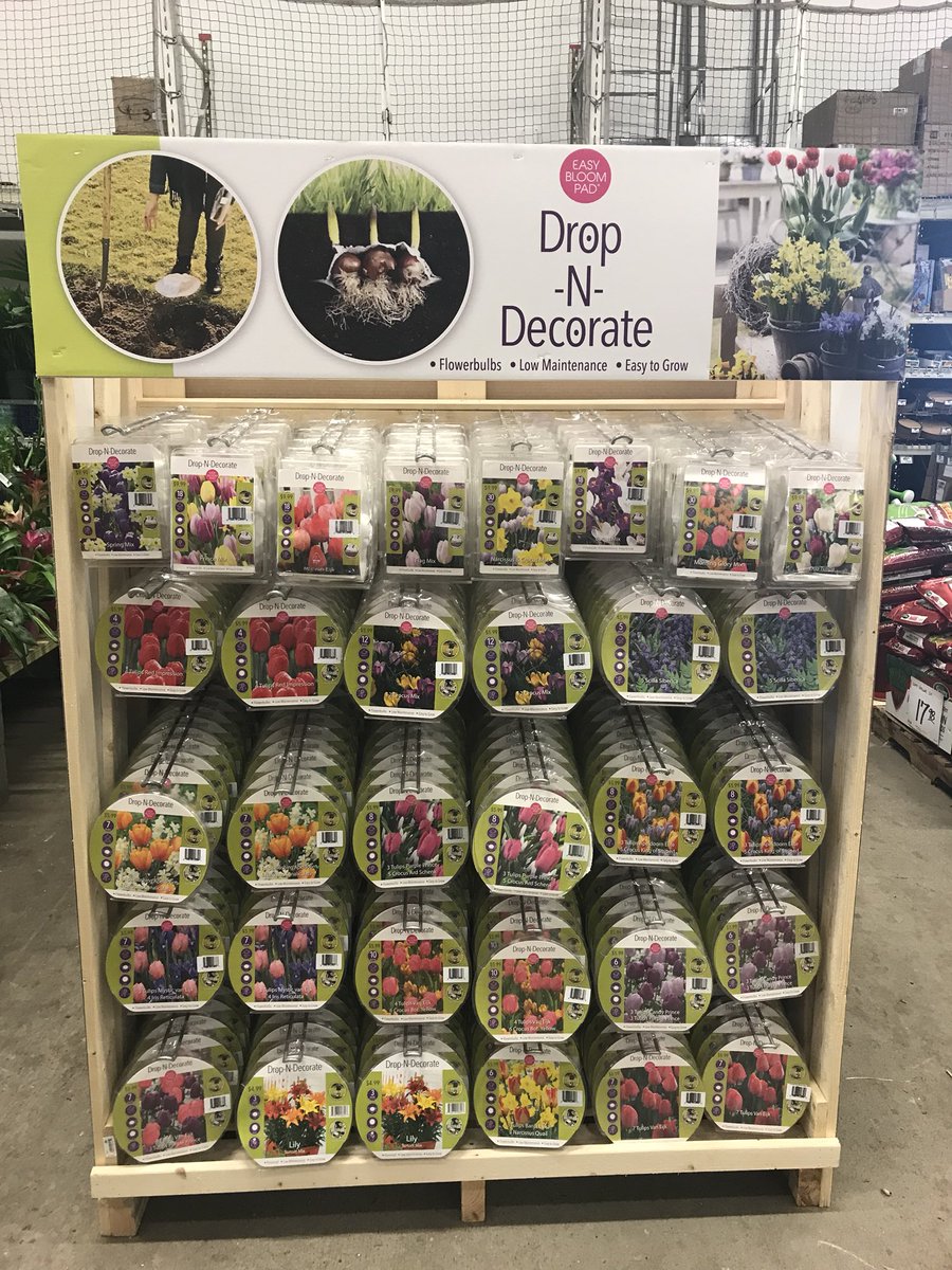 DDGrahamFlowers's tweet photo. Hello Milwaukee Northsiders,
While Mums the Word, don’t forget to check out the new Nursery Stock and Bulbs to plant now for a beautiful spring landscape. https://t.co/2na7TJFxKp