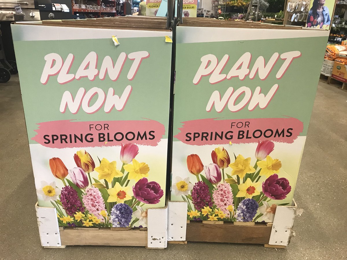 DDGrahamFlowers's tweet photo. Hello Milwaukee Northsiders,
While Mums the Word, don’t forget to check out the new Nursery Stock and Bulbs to plant now for a beautiful spring landscape. https://t.co/2na7TJFxKp