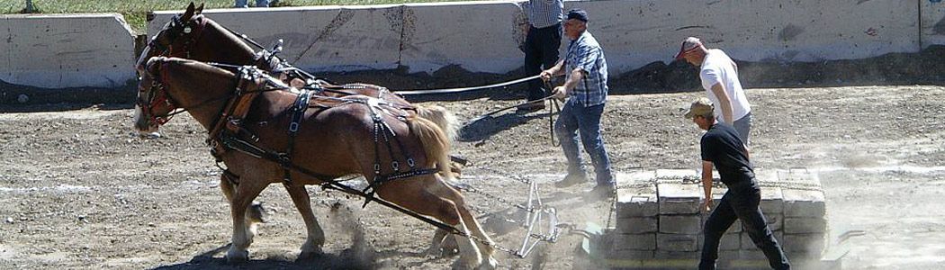 FestivalNomadCA's tweet photo. #PortHopeFallFair Sept 14-16, 2018 "Country Roots & Cowboy Boots" Bring the #family #friends @porthopefair Join in the Fun! #agriculture #Fair #farm #music #food #Horse Jumping @VisitPortHope @perfectwknds https://t.co/mdP1Ow8R1c
