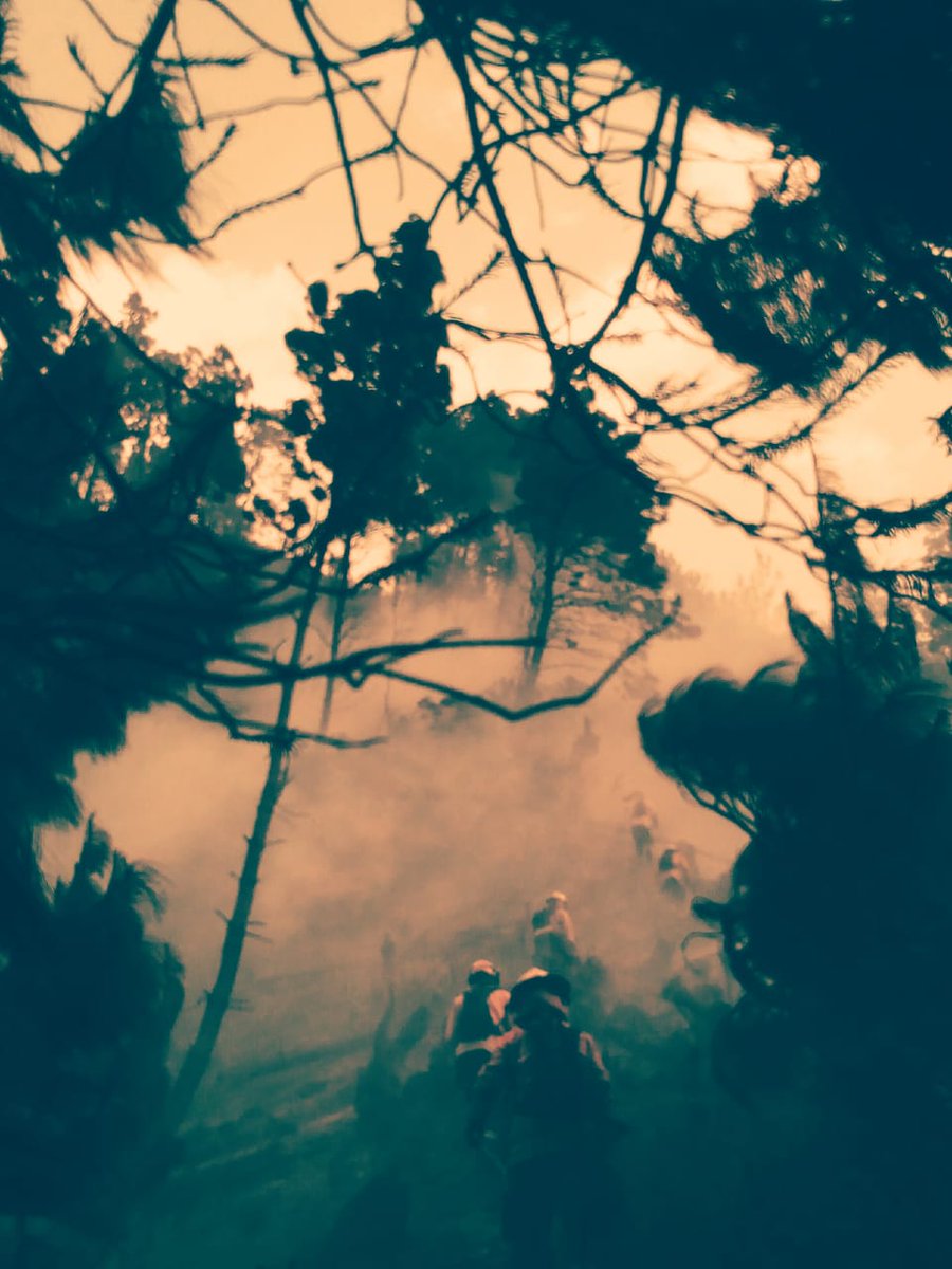 En el transcurso de esta tarde, personal de #bomberosloja controló con 9 efectivos, un incendio en el sector de Lolita Samaniego. #Loja