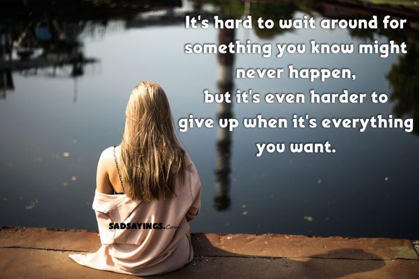 Rain And Tears.co.uk tweet media