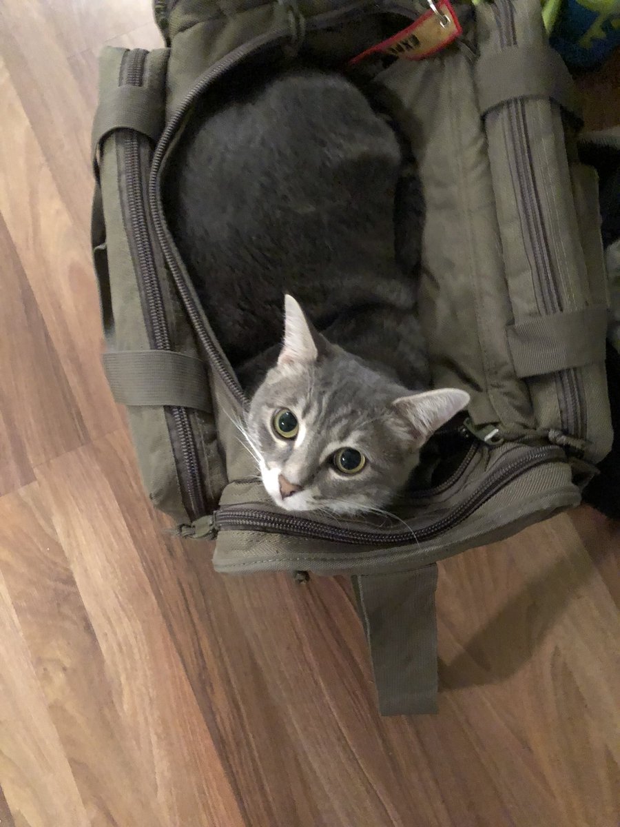 interstellarmel's tweet photo. My hurricane bag is ready 👍🏻 #HurricaneFlorence #EvacuPanic #FloJob #FlowAway ok that’s enough 😑🙄 https://t.co/ADJNy5QxQp