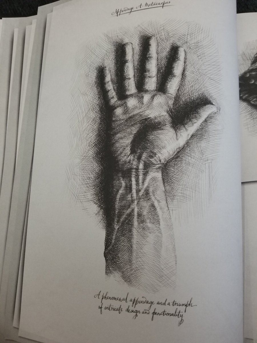 Xenomorphing426's tweet photo. Well. David is a huge fan of the hand is seems. #DavidsDrawings #AlienCovenant #HandsUp https://t.co/Tp1XlmrGP2