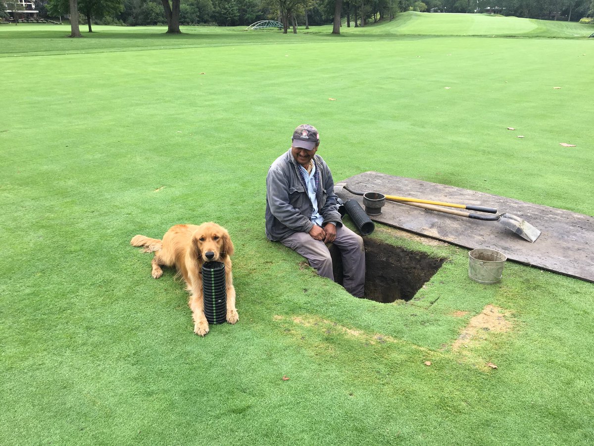 Olympia Fields Country Club tweet media