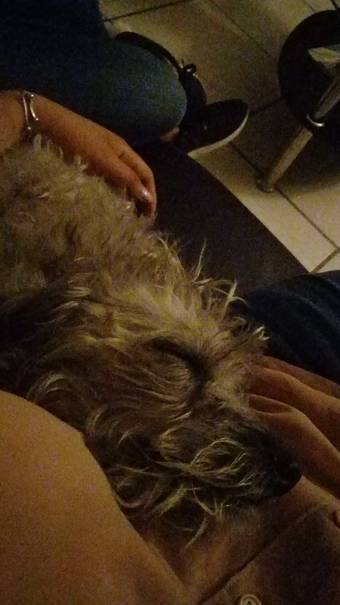 Andy_Raa's tweet image. Quisiera ser Gin en estos momentos