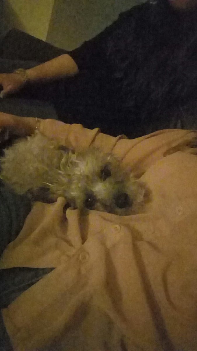 Andy_Raa's tweet image. Quisiera ser Gin en estos momentos