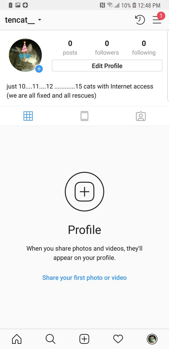 Tencat_'s tweet image. We are back! Got a new phone and had trouble logging in. We would like to welcome our 3 new additions Apollo, Draco, and Memphis also we would like to announce our new Instagram!! Account name is tencat__ with 2 underscores #weareback #tencatlove